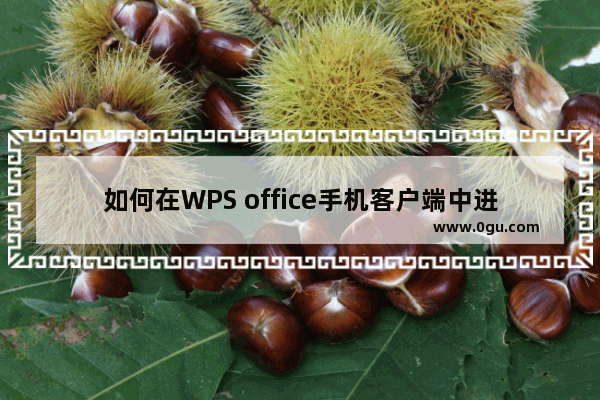 如何在WPS office手机客户端中进行繁简转换