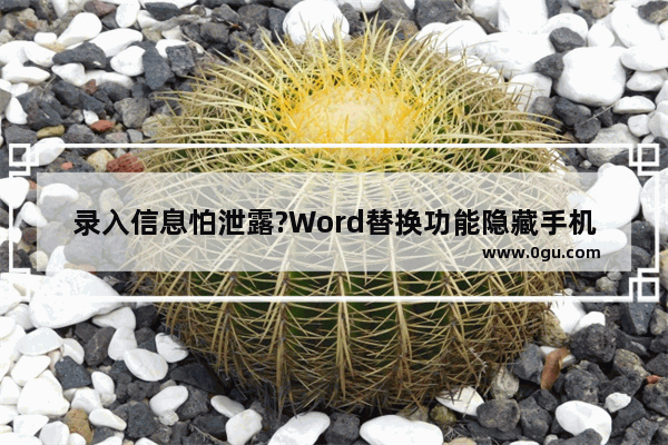 录入信息怕泄露?Word替换功能隐藏手机号码中间几位数字