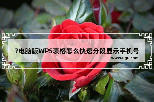 ?电脑版WPS表格怎么快速分段显示手机号