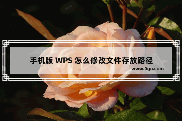 手机版 WPS 怎么修改文件存放路径