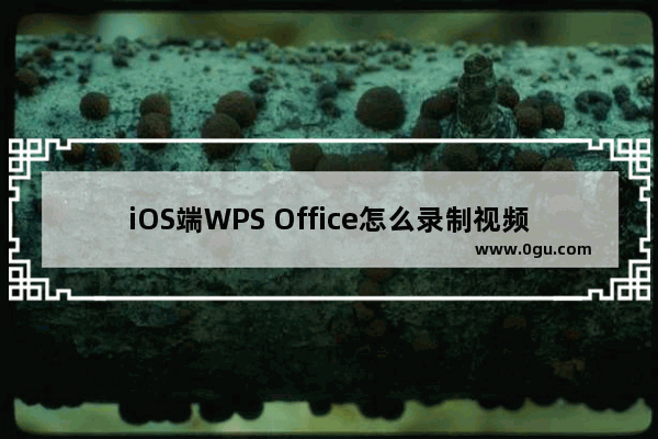iOS端WPS Office怎么录制视频？
