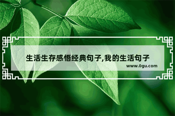 生活生存感悟经典句子,我的生活句子