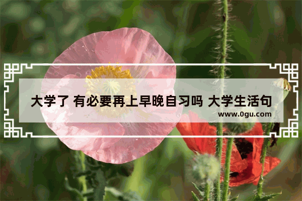 大学了 有必要再上早晚自习吗 大学生活句子