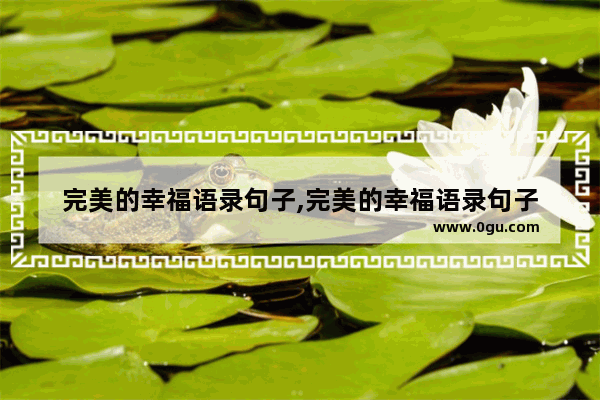 完美的幸福语录句子,完美的幸福语录句子