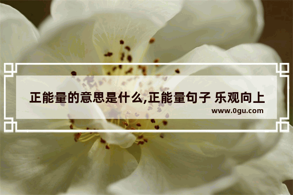 正能量的意思是什么,正能量句子 乐观向上