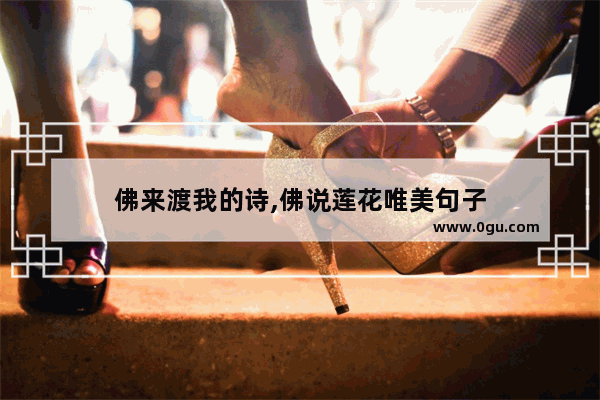 佛来渡我的诗,佛说莲花唯美句子