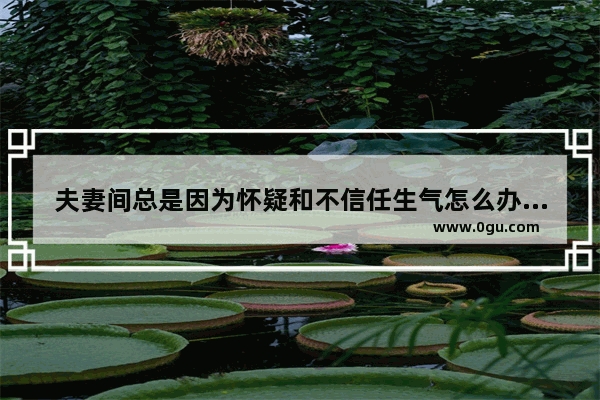 夫妻间总是因为怀疑和不信任生气怎么办,人生信任句子说说心情