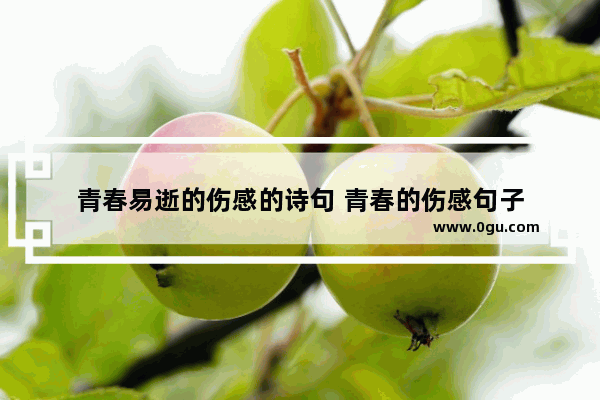 青春易逝的伤感的诗句 青春的伤感句子
