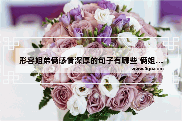 形容姐弟俩感情深厚的句子有哪些 俩姐弟感情好的句子