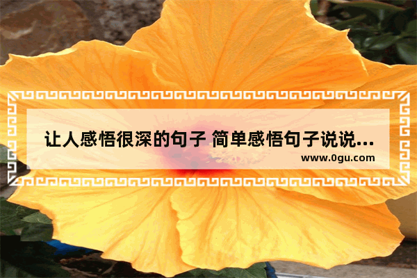 让人感悟很深的句子 简单感悟句子说说心情