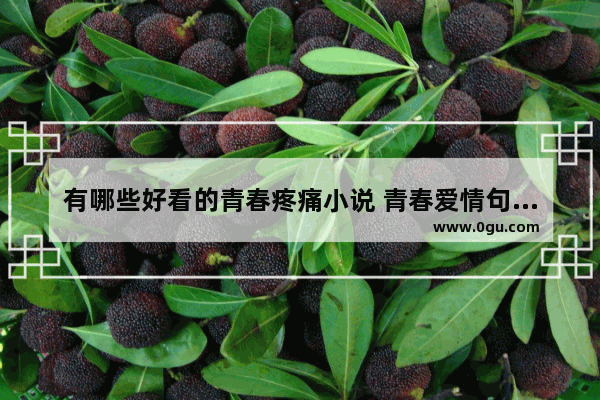 有哪些好看的青春疼痛小说 青春爱情句子伤感