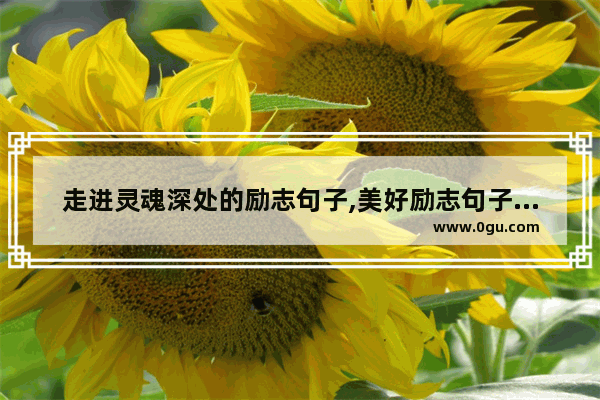 走进灵魂深处的励志句子,美好励志句子说说心情
