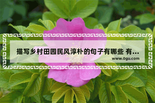 描写乡村田园民风淳朴的句子有哪些 有机生活句子摘抄