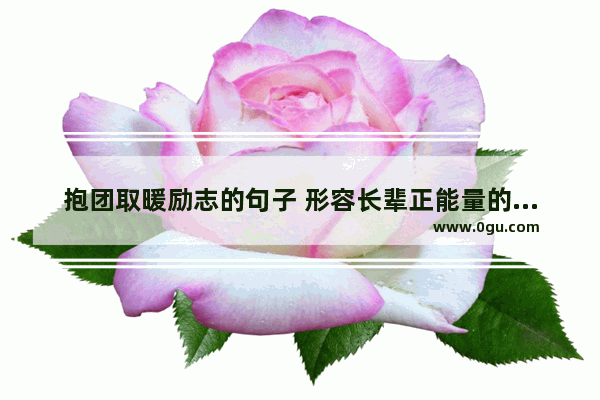抱团取暖励志的句子 形容长辈正能量的句子