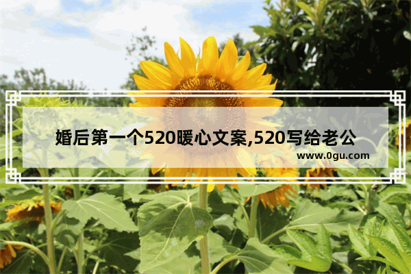 婚后第一个520暖心文案,520写给老公的暖心句子