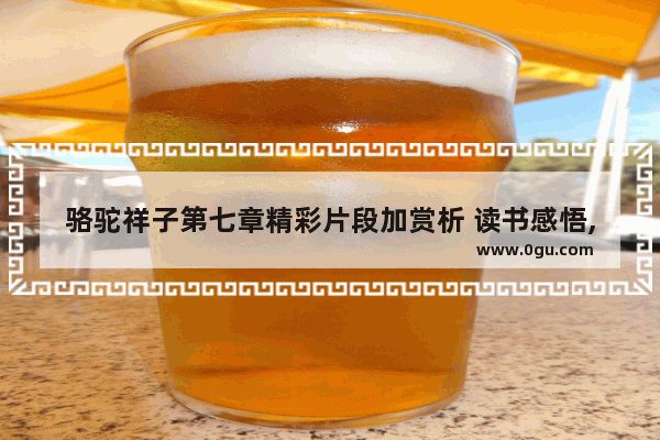 骆驼祥子第七章精彩片段加赏析 读书感悟,男人喜欢摔东西的句子