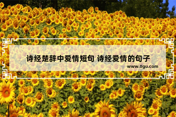 诗经楚辞中爱情短句 诗经爱情的句子