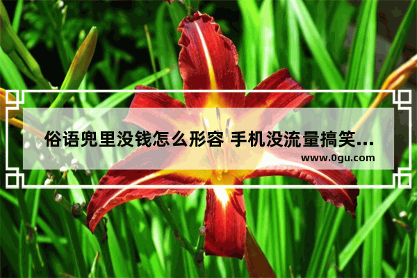 俗语兜里没钱怎么形容 手机没流量搞笑句子