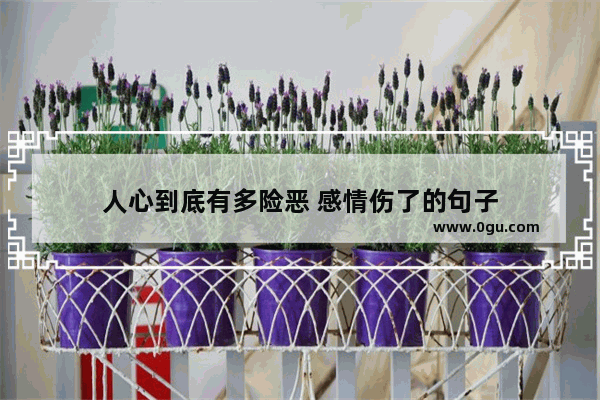人心到底有多险恶 感情伤了的句子