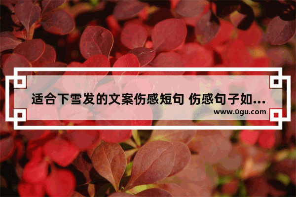 适合下雪发的文案伤感短句 伤感句子如果我不在了