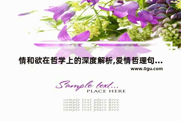 情和欲在哲学上的深度解析,爱情哲理句子摘抄