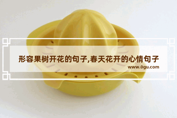 形容果树开花的句子,春天花开的心情句子