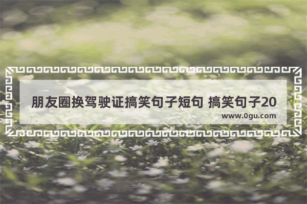 朋友圈换驾驶证搞笑句子短句 搞笑句子2017