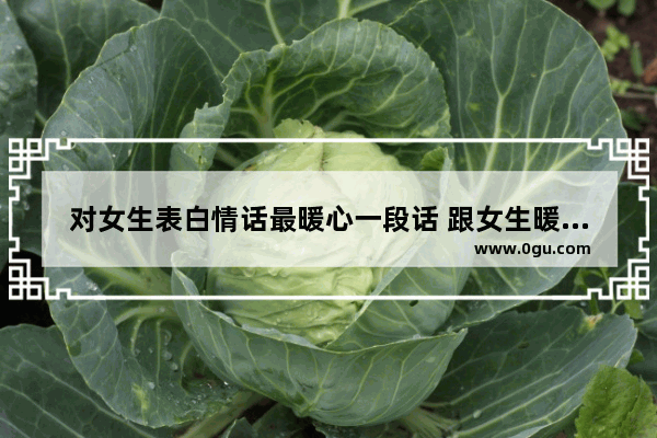 对女生表白情话最暖心一段话 跟女生暖心表白的句子
