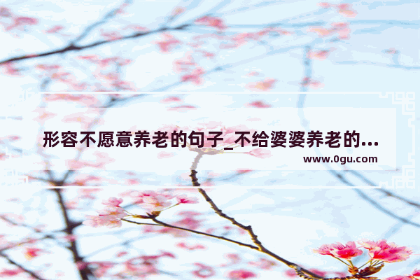 形容不愿意养老的句子_不给婆婆养老的句子
