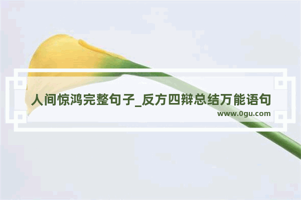 人间惊鸿完整句子_反方四辩总结万能语句