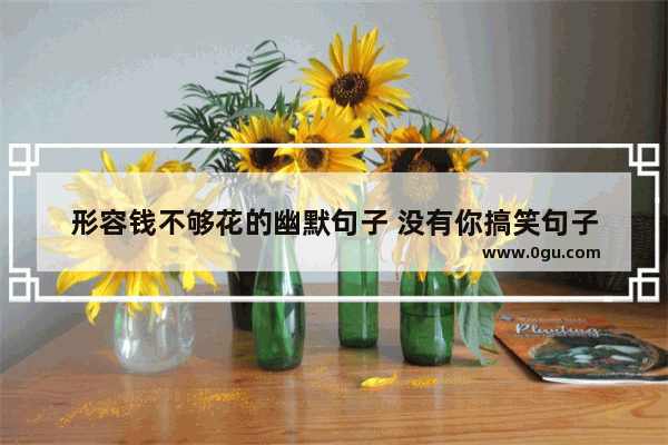 形容钱不够花的幽默句子 没有你搞笑句子