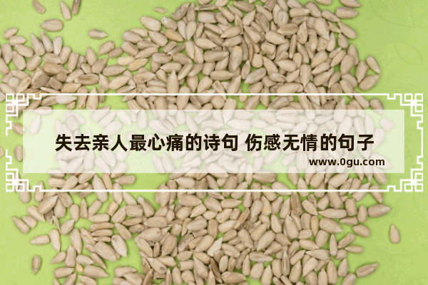 失去亲人最心痛的诗句 伤感无情的句子