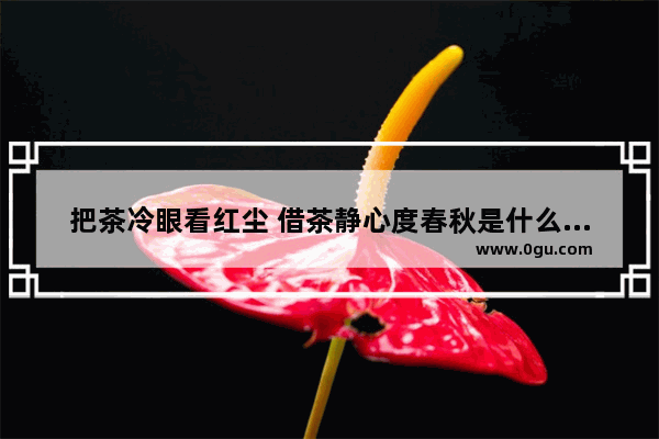 把茶冷眼看红尘 借茶静心度春秋是什么意思 道家讲感情释怀的句子