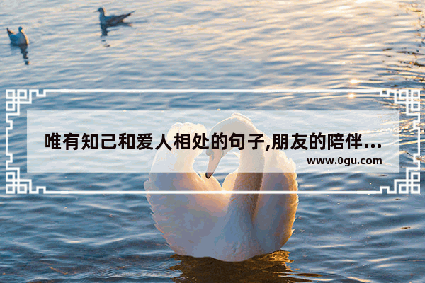 唯有知己和爱人相处的句子,朋友的陪伴唯美句子