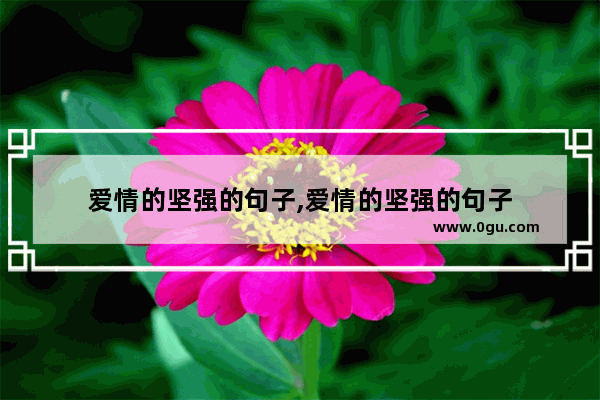 爱情的坚强的句子,爱情的坚强的句子