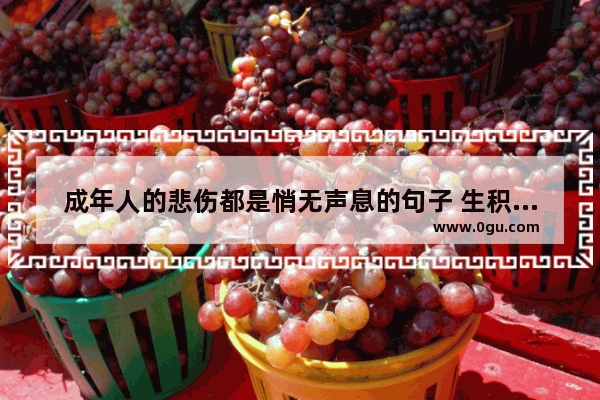 成年人的悲伤都是悄无声息的句子 生积累句子伤感