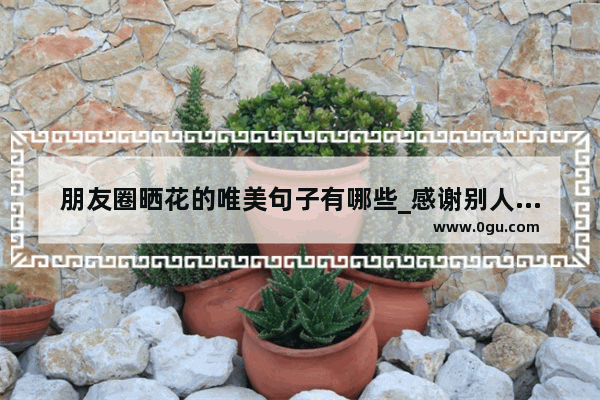 朋友圈晒花的唯美句子有哪些_感谢别人的优美句子