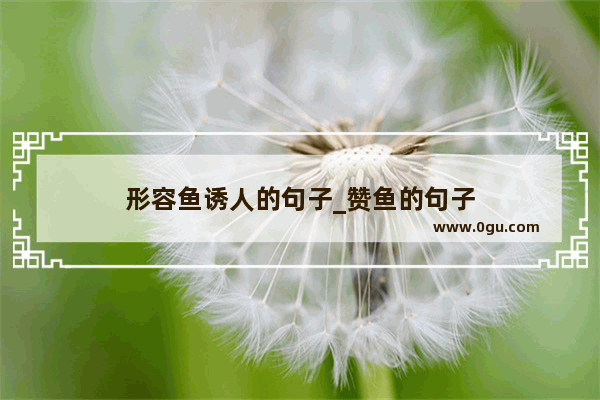 形容鱼诱人的句子_赞鱼的句子