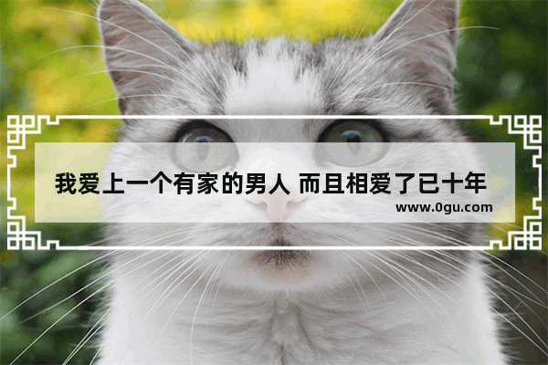 我爱上一个有家的男人 而且相爱了已十年 我该怎么办 十年的爱情唯美句子