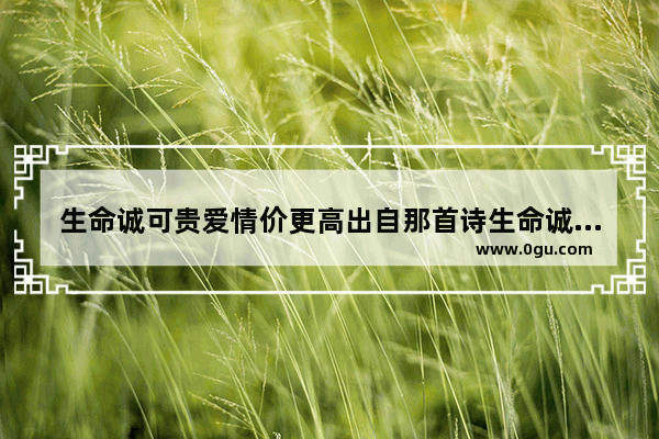 生命诚可贵爱情价更高出自那首诗生命诚可贵,爱情价更高,若为生命故,自由皆可抛。如何分解这首诗,爱情价值句子