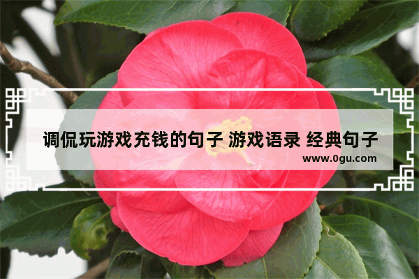 调侃玩游戏充钱的句子 游戏语录 经典句子搞笑