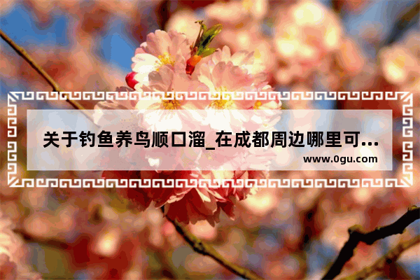 关于钓鱼养鸟顺口溜_在成都周边哪里可以遛鸟地方