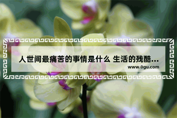 人世间最痛苦的事情是什么 生活的残酷现实的句子