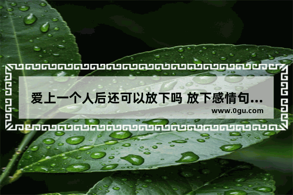 爱上一个人后还可以放下吗 放下感情句子说说心情