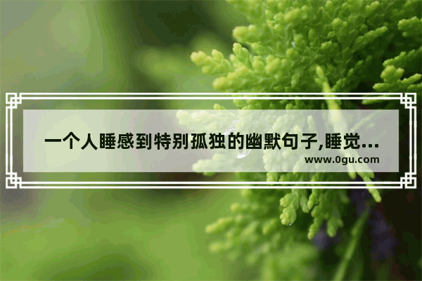 一个人睡感到特别孤独的幽默句子,睡觉的句子短句搞笑