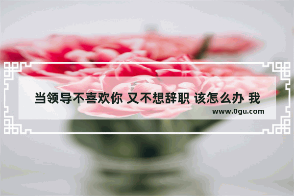 当领导不喜欢你 又不想辞职 该怎么办 我不太喜欢现在的自己句子
