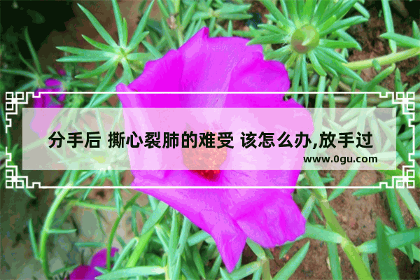 分手后 撕心裂肺的难受 该怎么办,放手过去的伤感句子