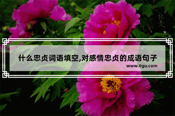 什么忠贞词语填空,对感情忠贞的成语句子