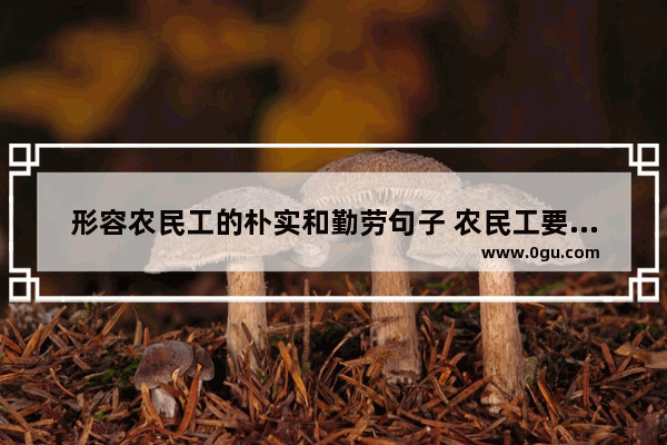 形容农民工的朴实和勤劳句子 农民工要幸福的句子