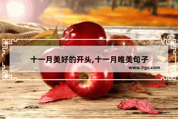十一月美好的开头,十一月唯美句子